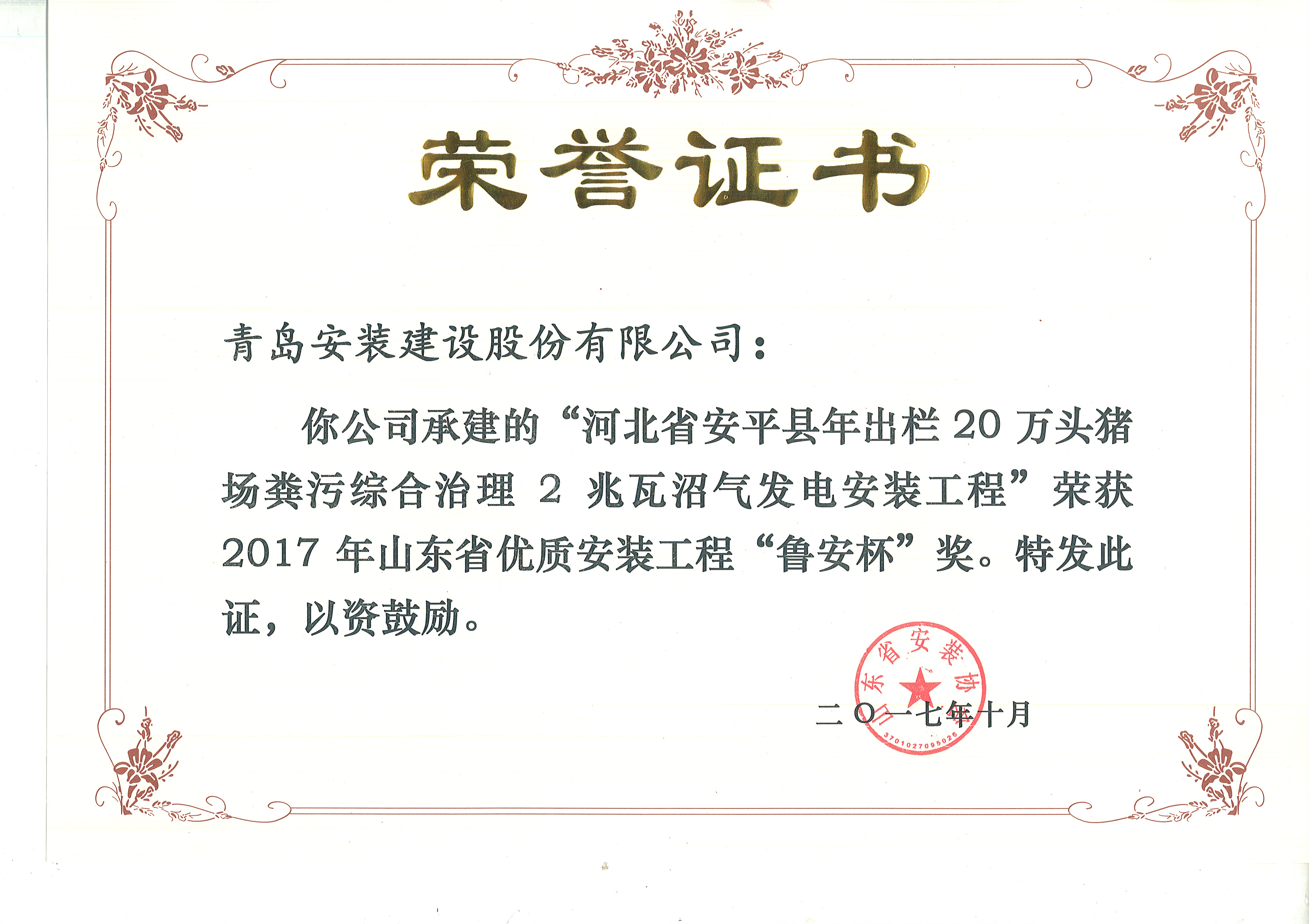 73、17魯安杯-河北安平2兆瓦沼氣發(fā)電.jpg